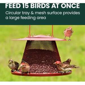 Perky-Pet Cardinal Wild Bird Feeder, Red