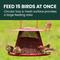Show in main carousel: Perky-Pet Cardinal Wild Bird Feeder, Red slide 4 of 11