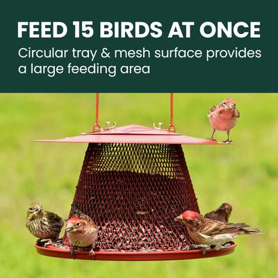 Show full view: Perky-Pet Cardinal Wild Bird Feeder, Red slide 4 of 11