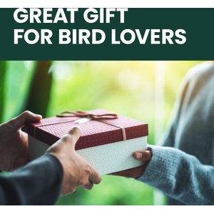 Perky-Pet Cardinal Wild Bird Feeder, Red