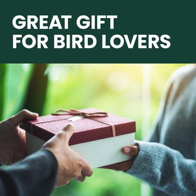 Show full view: Perky-Pet Cardinal Wild Bird Feeder, Red slide 8 of 11