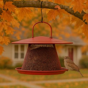 Perky-Pet Cardinal Wild Bird Feeder, Red