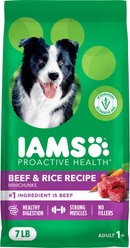 Iams Proactive Health Minichunks Adult Beef & Rice Recipe Dry Dog Food, 7-lb bag