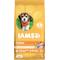 Show in main carousel: Iams Proactive Health Smart Puppy with Real Chicken Dry Dog Food, 7-lb bag slide 1 of 11