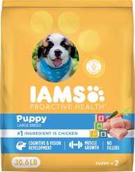 Iams Proactive Health Large Breed Puppy with Real Chicken Dry Dog Food, 30.6-lb bag