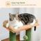 Show in main carousel: PAWZ Road Indoor 33-in Polyester Cat Tree Tower with Large Condo, Cactus Green slide 5 of 11
