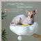 Show in main carousel: PAWZ Road Indoor 59-in Polyester Wood Cat Tree & Condo with Large Basket, White slide 6 of 10