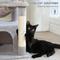 Show in main carousel: PAWZ Road Indoor 33-in Polyester Cat Tree Tower with Large Condo, Gray slide 6 of 11