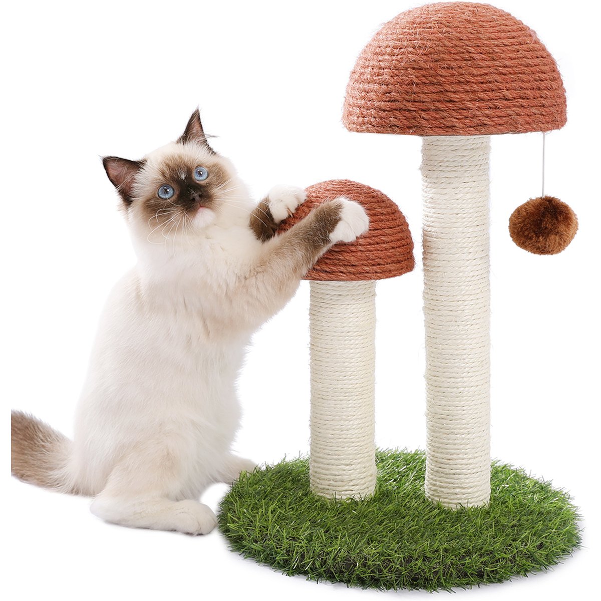 PAWZ Road 19-in Polyester Mushroom Cat Scratching Post with Interactive Toy Ball, Brown