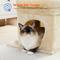 Show in main carousel: PAWZ Road 26.8-in Polyester Cat Tree Tower & Condo, Large Perch, Beige, Small slide 7 of 11