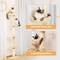 Show in main carousel: PAWZ Road 95 to 107-in Adjustable Polyester Floor-to-Ceiling Cat Tree Tower, Beige slide 5 of 9