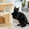 Show in main carousel: PAWZ Road Indoor 33-in Polyester Cat Tree Tower with Large Condo, Beige slide 7 of 12