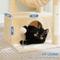 Show in main carousel: PAWZ Road Indoor 33-in Polyester Cat Tree Tower with Large Condo, Beige slide 6 of 12