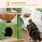 Show in main carousel: PAWZ Road Indoor 33-in Polyester Cat Tree Tower with Large Condo, Cactus Green slide 8 of 11