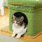 Show in main carousel: PAWZ Road 26.8-in Polyester Cat Tree Tower & Condo, Large Perch, Green, Small slide 6 of 10