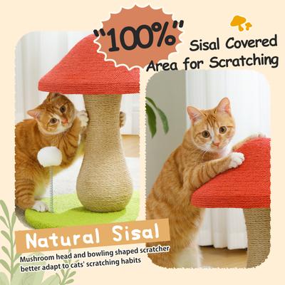 Show full view: PAWZ Road 18-in Polyester Mushroom Cat Scratching Post & Scratcher slide 5 of 8