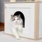 Show in main carousel: PAWZ Road 56.7-in Polyester Wood Cat Tree Tower with Litter Box Enclosure & 2 Condos, Large, Beige slide 7 of 9