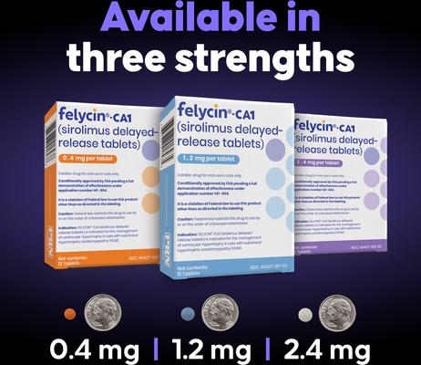 Show full view: Felycin-CA1 (sirolimus delayed-release tablets) for Cats, 0.4-mg, 12 Tablets slide 7 of 8
