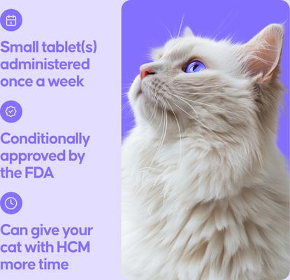 Show full view: Felycin-CA1 (sirolimus delayed-release tablets) for Cats, 0.4-mg, 12 Tablets slide 6 of 8