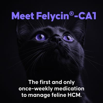 Show full view: Felycin-CA1 (sirolimus delayed-release tablets) for Cats, 0.4-mg, 12 Tablets slide 5 of 8
