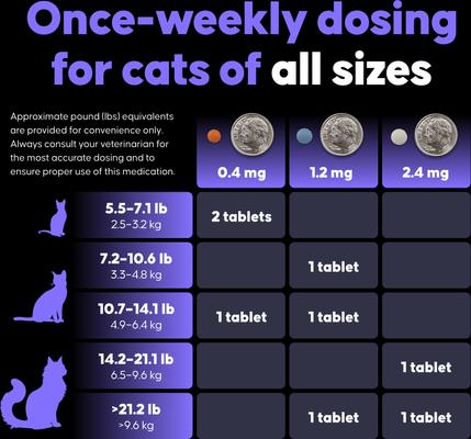 Show full view: Felycin-CA1 (sirolimus delayed-release tablets) for Cats, 0.4-mg, 12 Tablets slide 8 of 8