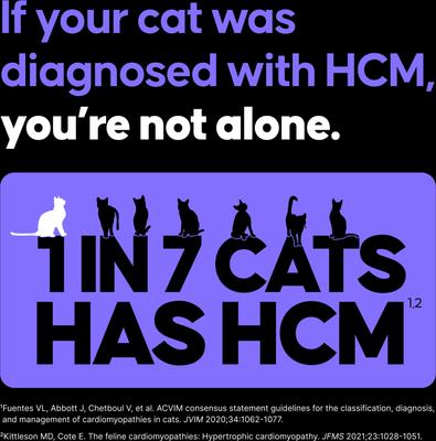 Show full view: Felycin-CA1 (sirolimus delayed-release tablets) for Cats, 0.4-mg, 12 Tablets slide 3 of 8