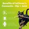 Show in main carousel: InClover Canine Connectin Hip & Joint Tablet Supplement for Dogs, 50 count slide 6 of 11