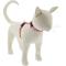 Show in main carousel: LupinePet Valentine H-Style Adjustable Cat Harness, Lovable Gnomes, Medium/Large: 12 to 20-in chest, 1/2-in wide slide 1 of 5