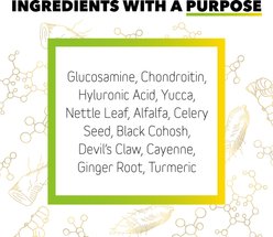 InClover Canine Connectin Hip & Joint Powder Supplement for Dogs, 12-oz bottle slide 2 of 8