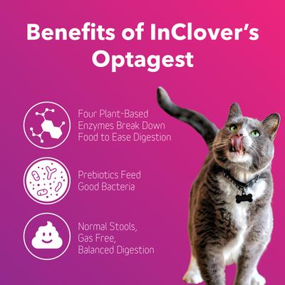 Show full view: InClover Optagest Plant Based Prebiotics & Digestive Enzymes Supplement for Dogs & Cats, 14-gm box slide 4 of 9