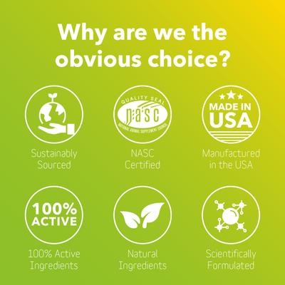 Show full view: InClover Feline Connectin Clinically Proven Hip & Joint Supplement Powder for Cats, 90-gm bottle slide 3 of 8