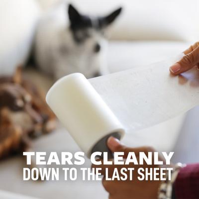 Show full view: Scotch-Brite Pet Hair Pickup Large Surface Roller, 60 sheets slide 8 of 11