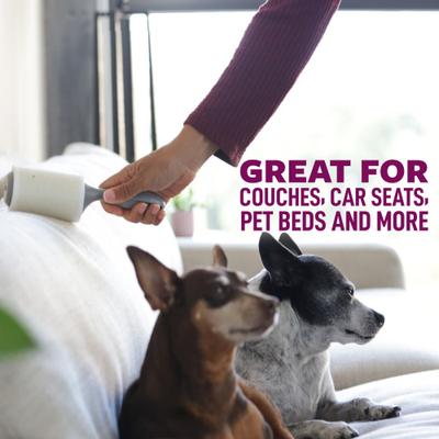 Show full view: Scotch-Brite Pet Hair Pickup Large Surface Roller, 60 sheets slide 6 of 11