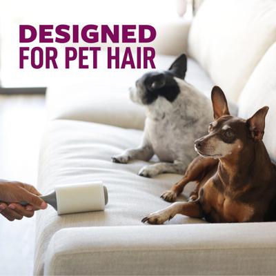 Show full view: Scotch-Brite Pet Hair Pickup Large Surface Roller, 60 sheets slide 5 of 11