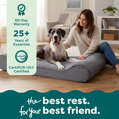 Show full view: FurHaven Ultra Plush Luxe Lounger Orthopedic Cat & Dog Bed with Removable Cover, Gray, Jumbo Plus slide 9 of 11