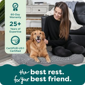 FurHaven Ultra Plush Luxe Lounger Orthopedic Cat & Dog Bed with Removable Cover, Gray, Jumbo