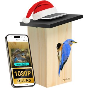Birdfy Solar Powered Smart Bird House with Camera, Ebony