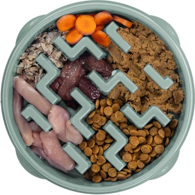 Outward Hound Outward Hound Fun Feeder Slo Bowl Non-Skid Plastic Slow Feeder Dog Bowl, Sage, Medium: 4-cup