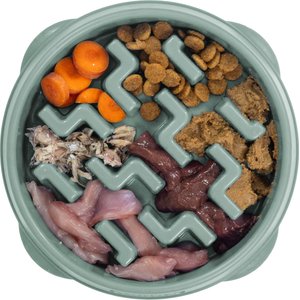 Outward Hound Fun Feeder Slo Bowl Non-Skid Plastic Slow Feeder Dog Bowl, Sage, Small: 2-cup