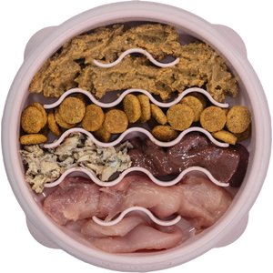 Outward Hound Non-Skid Plastic Slow Feeder Wave Dog Bowl, Pink, 0.75-cup