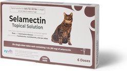 Selamectin Topical Solution For Cats, 15.1-22 lbs (60mg/1mL), 6 Doses (6-mos. supply)