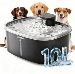 Pokpet Stainless Steel Dog & Cat Water Fountain, Black, 2.6-gal slide 1 of 9