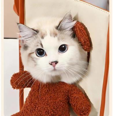 Show full view: NonoPets Cute Lion Sling Dog & Cat Carrier Tote Travel Bag, Large slide 3 of 8