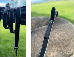 IBK Doggies Flashlight Reflective Nylon Bungee Dog Leash Collar Set, Black, X-Large: 24 to 30-in neck, 1.5-in wide