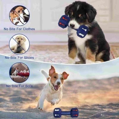 Show full view: Petopia Biting Chew Dog Toy, Blue, Medium slide 4 of 11