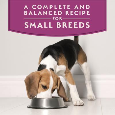 Show full view: Natural Balance Limited Ingredient Small Breed Lamb & Brown Rice Wet Dog Food, 3.5-oz, case of 12 slide 4 of 10