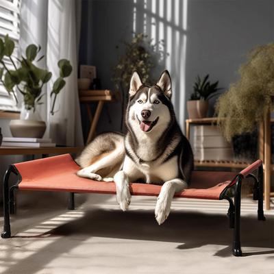 Show full view: Veehoo Elevated Outdoor Raised Dog Bed, Red, X-Large slide 8 of 11