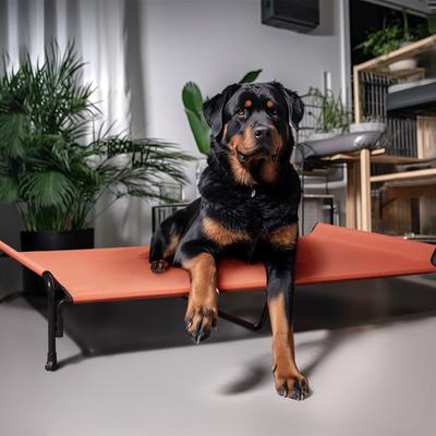 Show full view: Veehoo Elevated Outdoor Raised Dog Bed, Red, XX-Large slide 8 of 11