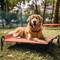 Show in main carousel: Veehoo Elevated Outdoor Raised Dog Bed, Red, Large slide 7 of 11