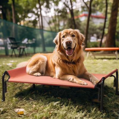 Show full view: Veehoo Elevated Outdoor Raised Dog Bed, Red, Large slide 7 of 11